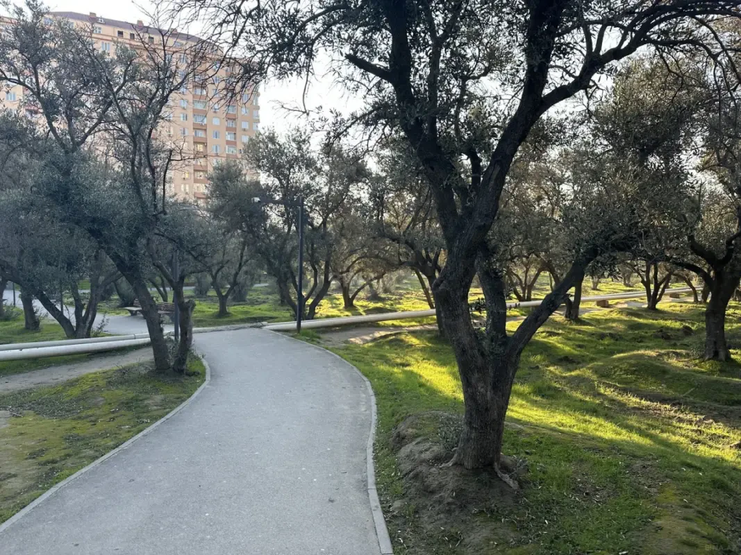 Kirayə verilir 3 otaqlı mənzil 90 m²