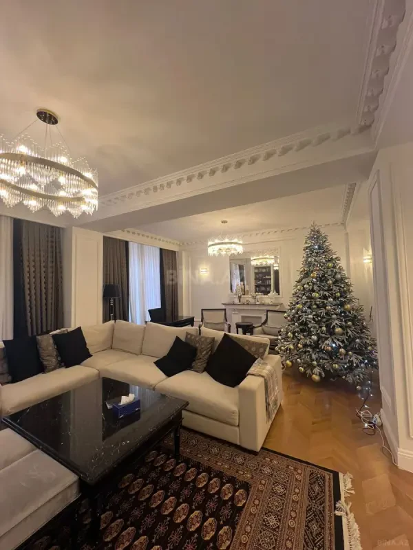 Satılır 4 otaqlı mənzil 209 m²