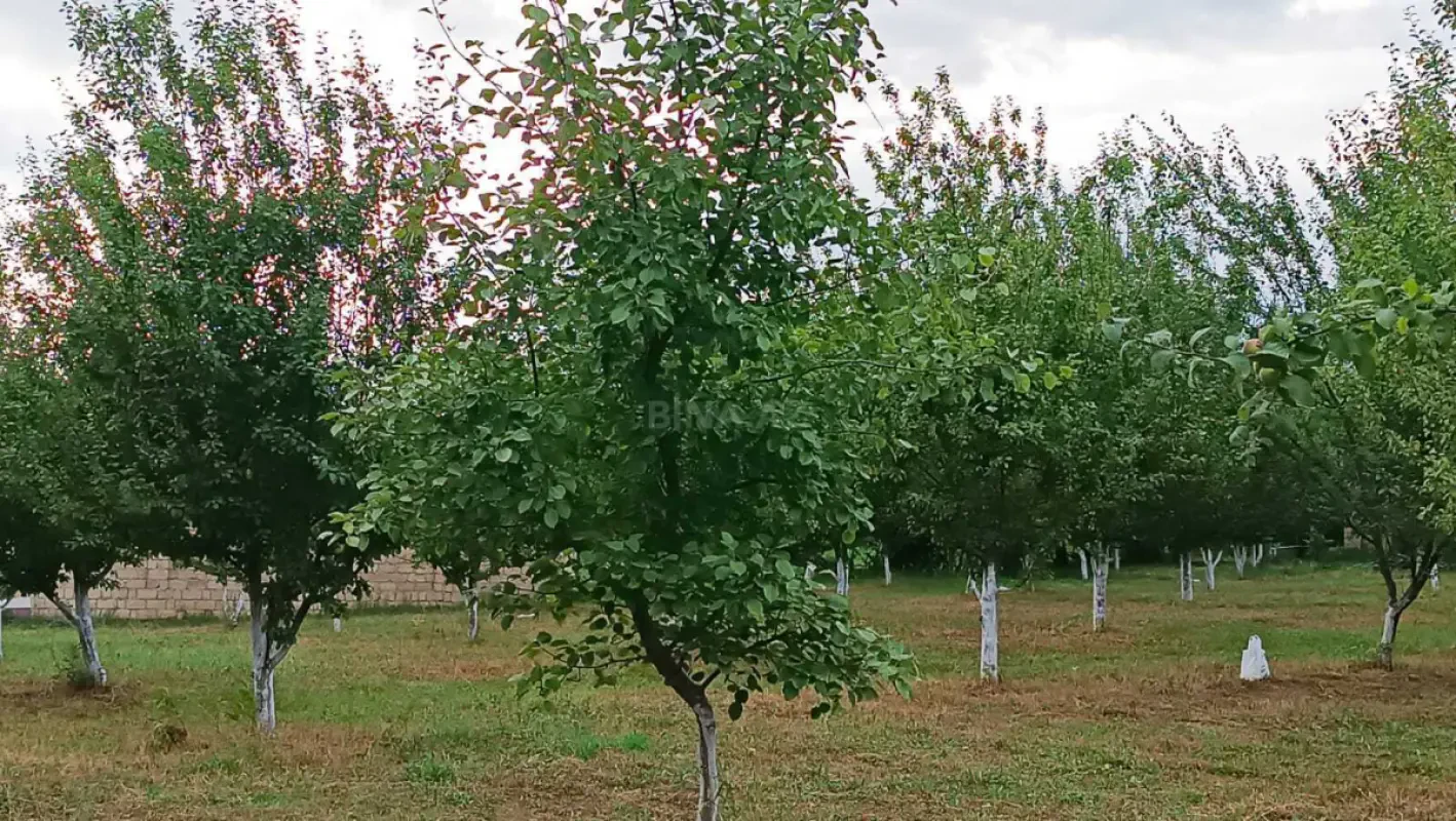 Satılır torpaq sahəsi 30 m²