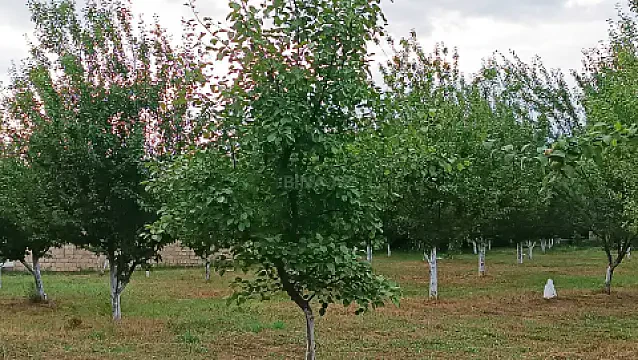 Satılır torpaq sahəsi 30 m² — Qəbələ 30.00 m²
