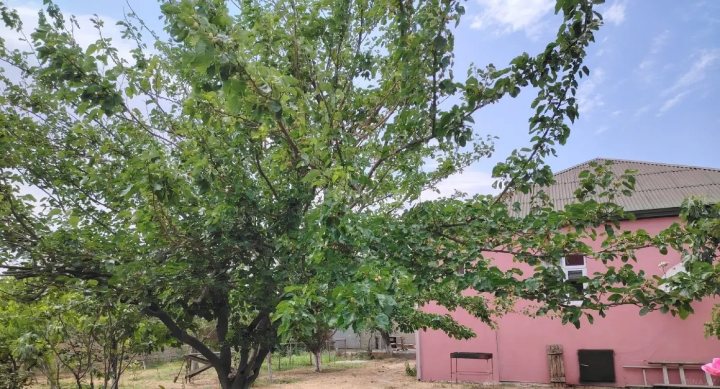 Satılır 4 otaqlı həyət evi 180 m²