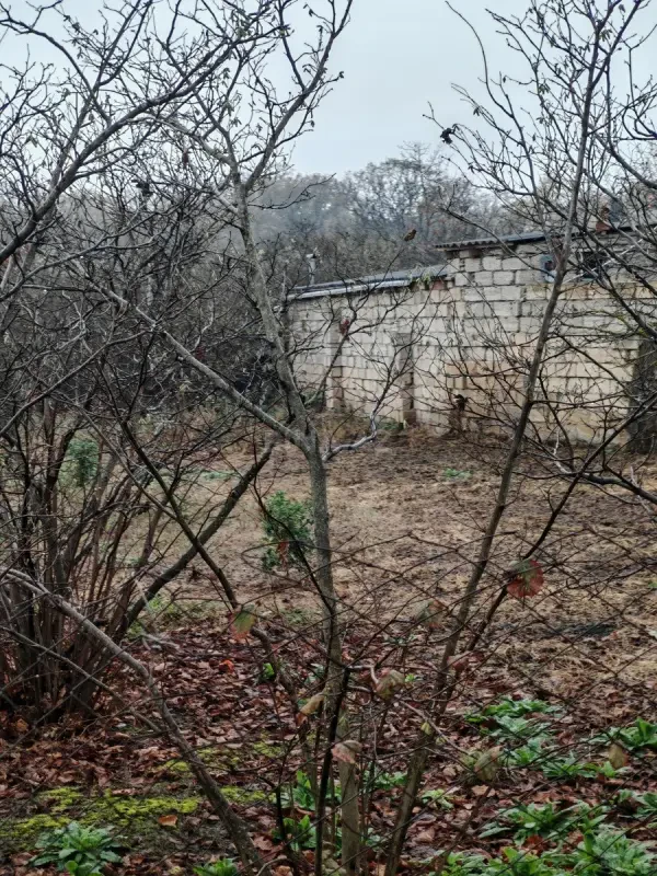 Satılır torpaq sahəsi 6 m²