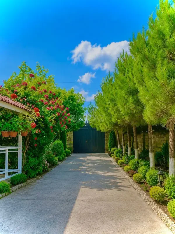 Kirayə verilir 3 otaqlı həyət evi 120 m²