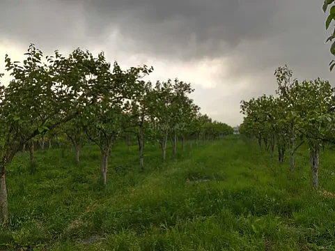 Satılır torpaq sahəsi 170 m² — Göyçay 170.00 m²