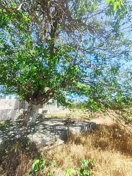Satılır 5 otaqlı həyət evi 400 m² — Bakı, Nardaran 5 otaq 400.00 m²