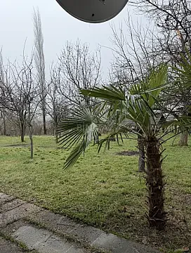 Satılır torpaq sahəsi 14 m² — Qax 14.00 m²