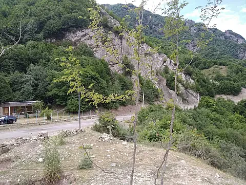 Kirayə verilir obyekt 50 m² — İsmayıllı 50.00 m²