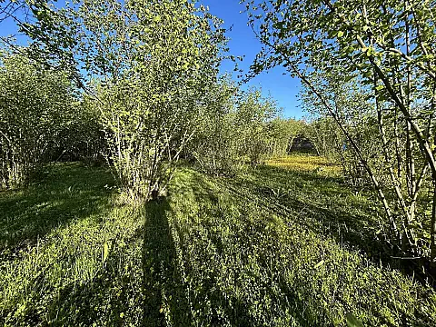 Satılır torpaq sahəsi 43 m² — Qəbələ 43.00 m²
