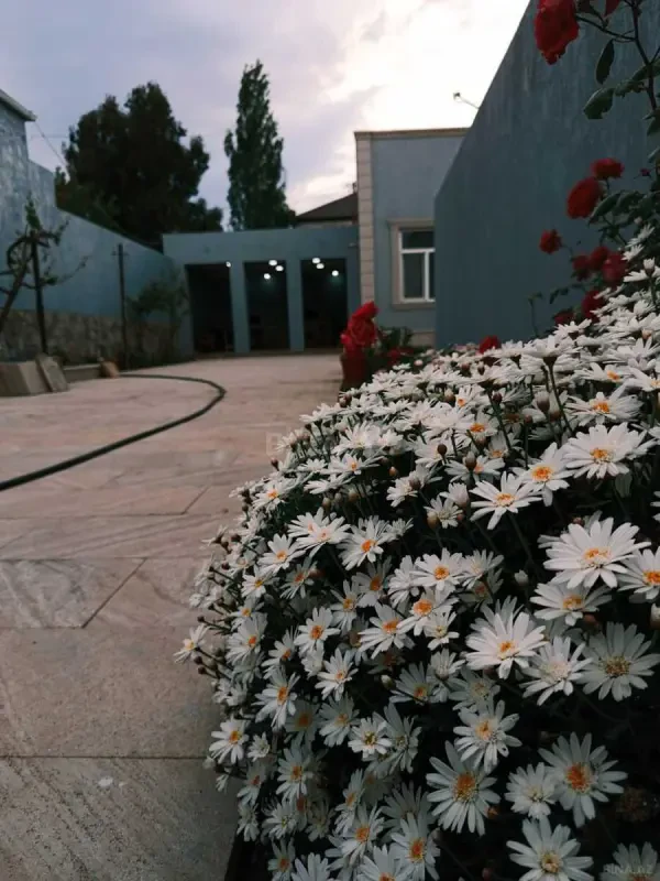 Satılır 4 otaqlı həyət evi 130 m²