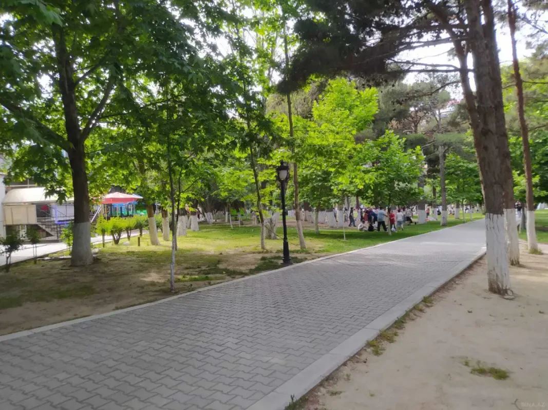 Kirayə verilir obyekt 256 m²