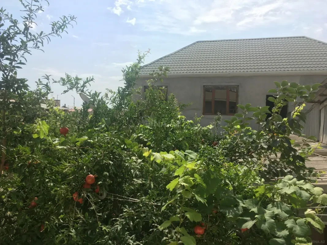 Satılır 14 otaqlı həyət evi 300 m²