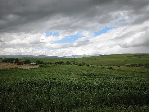 Satılır torpaq sahəsi 77 m² — Şamaxı 77.00 m²