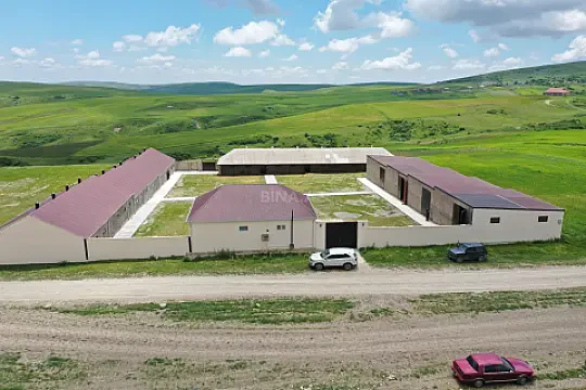 Satılır obyekt 1000 m² — Şamaxı 1000.00 m²