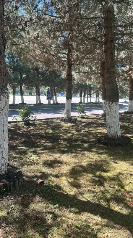 Kirayə verilir torpaq sahəsi 100 m²