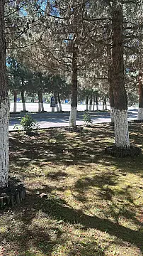 Kirayə verilir torpaq sahəsi 100 m² — Bakı, Fatmayı 100.00 m²
