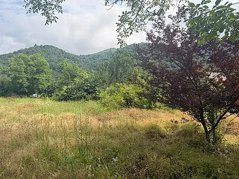 Satılır torpaq sahəsi 8 m² — Lerik 8.00 m²