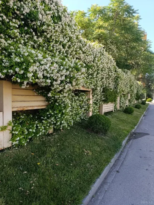 Satılır 7 otaqlı həyət evi 700 m²