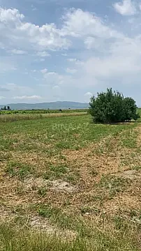Satılır torpaq sahəsi 365 m² — Şabran 365.00 m²
