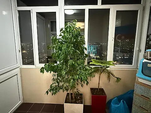 Satılır 4 otaqlı mənzil 154 m² — Bakı 4 otaq 154.00 m²