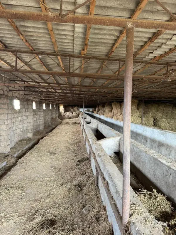 Kirayə verilir torpaq sahəsi 200 m²