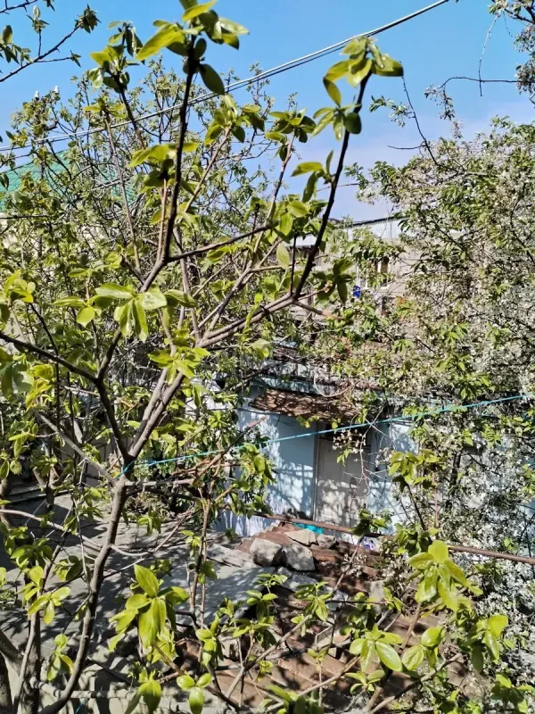 Satılır 6 otaqlı həyət evi 120 m²