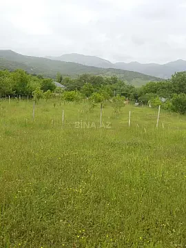 Satılır torpaq sahəsi 50 m² — İsmayıllı 50.00 m²
