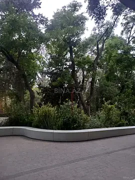 Kirayə verilir 2 otaqlı mənzil 42 m² — Bakı, Sahil qəs. 2 otaq 42.00 m²
