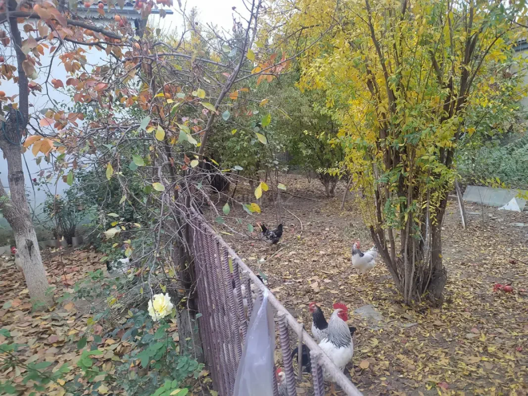 Satılır 4 otaqlı həyət evi 135 m²