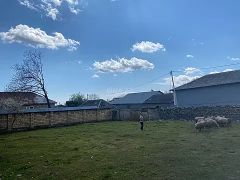 Satılır torpaq sahəsi 5.6 m² — Qəbələ 5.60 m²