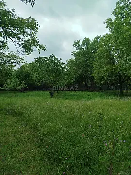 Satılır torpaq sahəsi 10 m² — Qəbələ 10.00 m²
