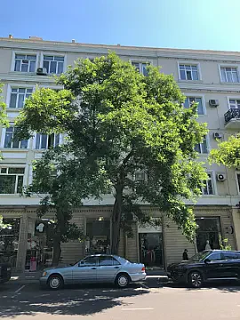 Satılır 3 otaqlı mənzil 85 m² — Bakı, Nəsimi 3 otaq 85.00 m²