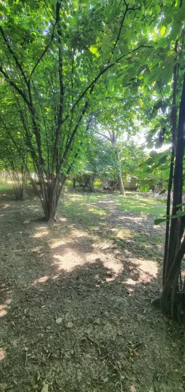 Satılır torpaq sahəsi 9 m²