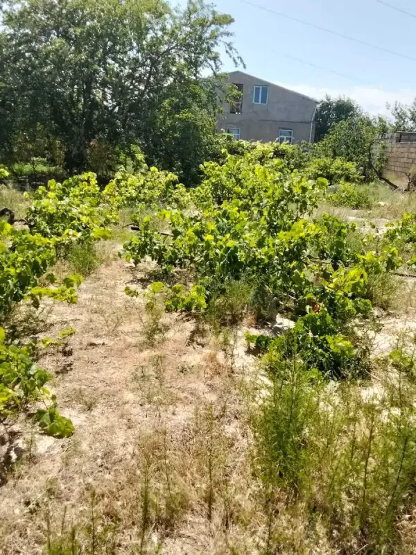 Satılır torpaq sahəsi 3 m²