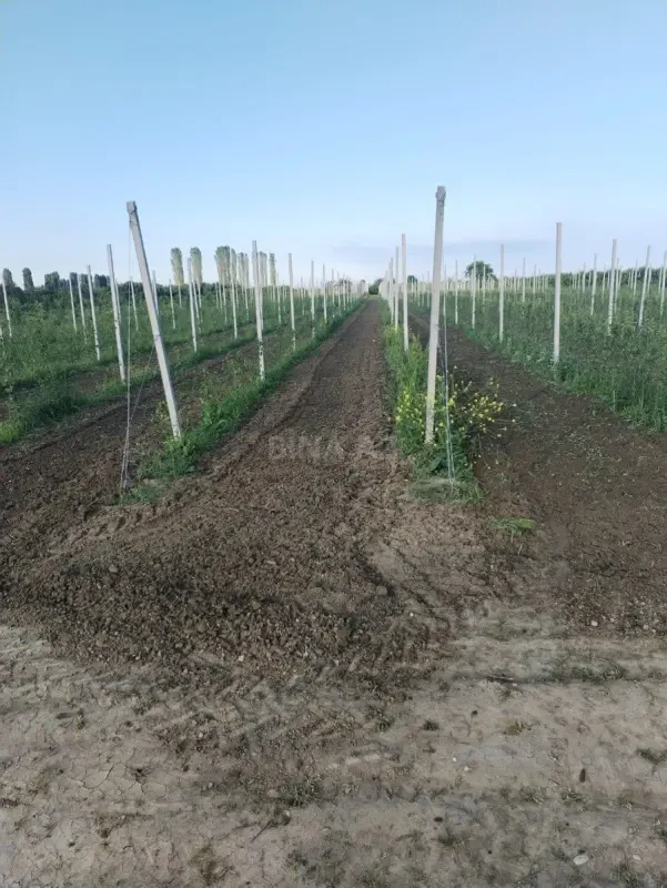 Satılır torpaq sahəsi 130 m²