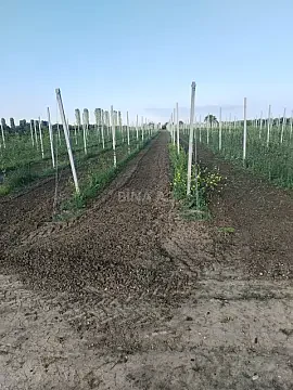 Satılır torpaq sahəsi 130 m² — Quba 130.00 m²