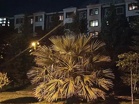 Kirayə verilir 1 otaqlı mənzil 38 m² — Bakı 1 otaq 38.00 m²