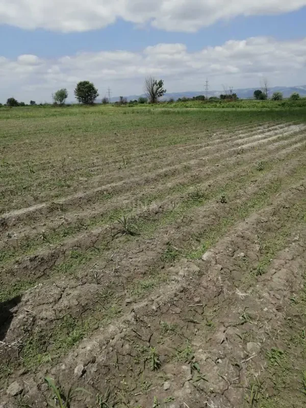 Satılır torpaq sahəsi 320 m²