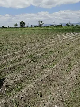 Satılır torpaq sahəsi 320 m² — Ağdaş 320.00 m²