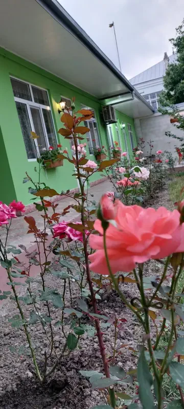Kirayə verilir 2 otaqlı həyət evi 100 m²