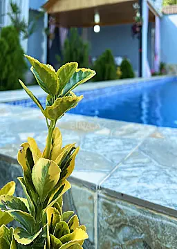 Kirayə verilir 7 otaqlı həyət evi 200 m² — Qəbələ 7 otaq 200.00 m²