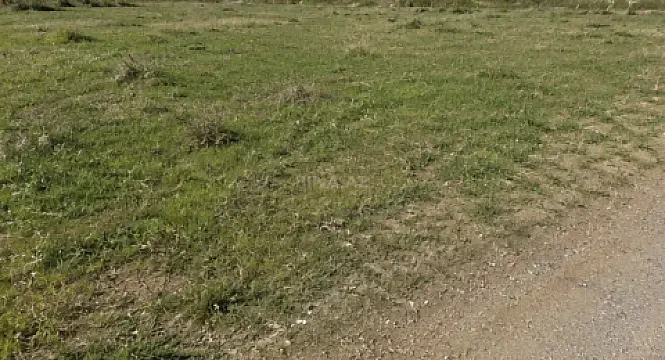 Satılır torpaq sahəsi 3 m² — Naxçıvan 3.00 m²