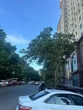 Kirayə verilir 1 otaqlı mənzil 40 m² — Bakı 1 otaq 40.00 m²