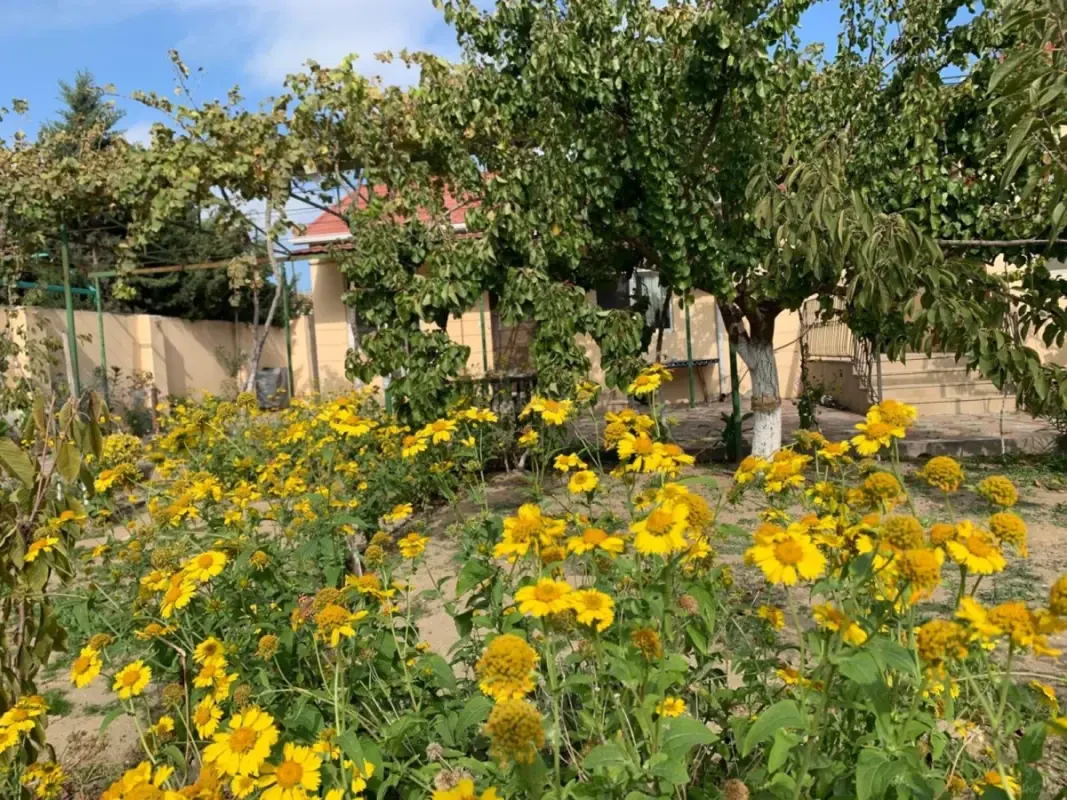 Satılır 6 otaqlı həyət evi 200 m²