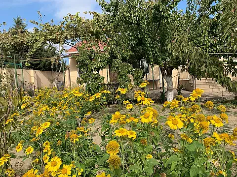 Satılır 6 otaqlı həyət evi 200 m² — Bakı, Buzovna 6 otaq 200.00 m²