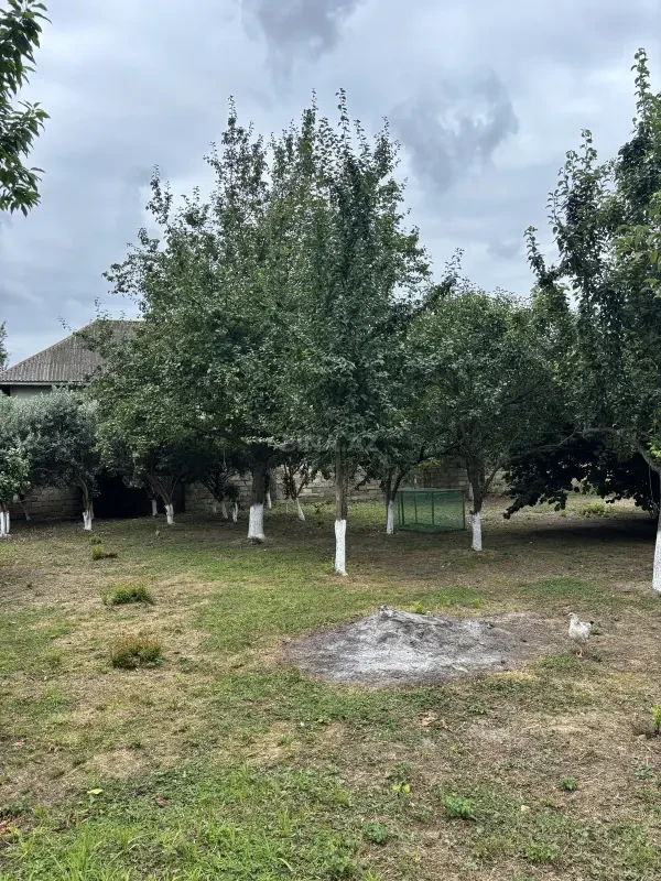 Satılır torpaq sahəsi 10 m²