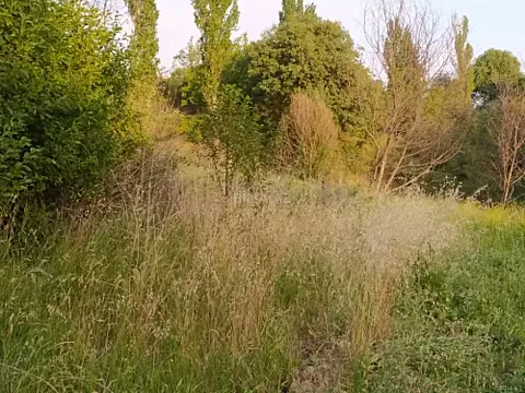 Satılır torpaq sahəsi 15 m² — Şamaxı 15.00 m²