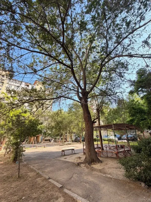Satılır 1 otaqlı mənzil 45 m²