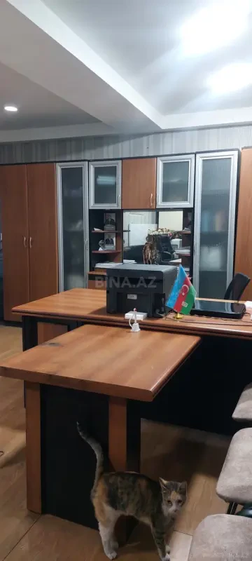 Kirayə verilir obyekt 50 m²