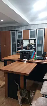 Kirayə verilir obyekt 50 m² — Bakı, Nəsimi 50.00 m²