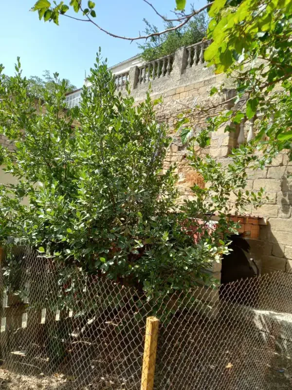 Kirayə verilir 2 otaqlı həyət evi 50 m²